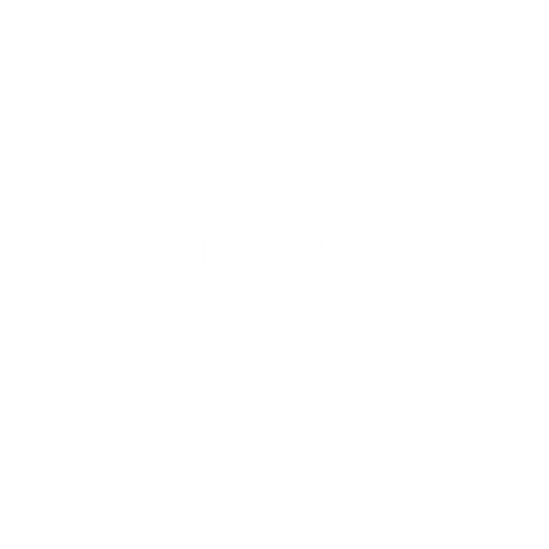 Logo Baruk Soluções Financeiras